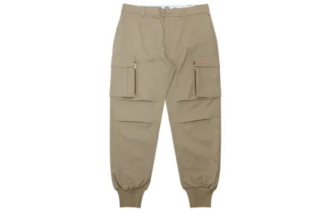 Dickies Casual Pants Men's Sand