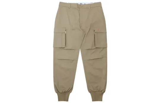 Dickies Casual Pants Men's Sand