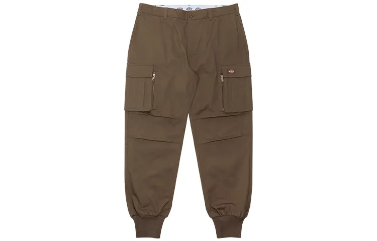 Dickies Cargo Pants Men's Brown Moderate