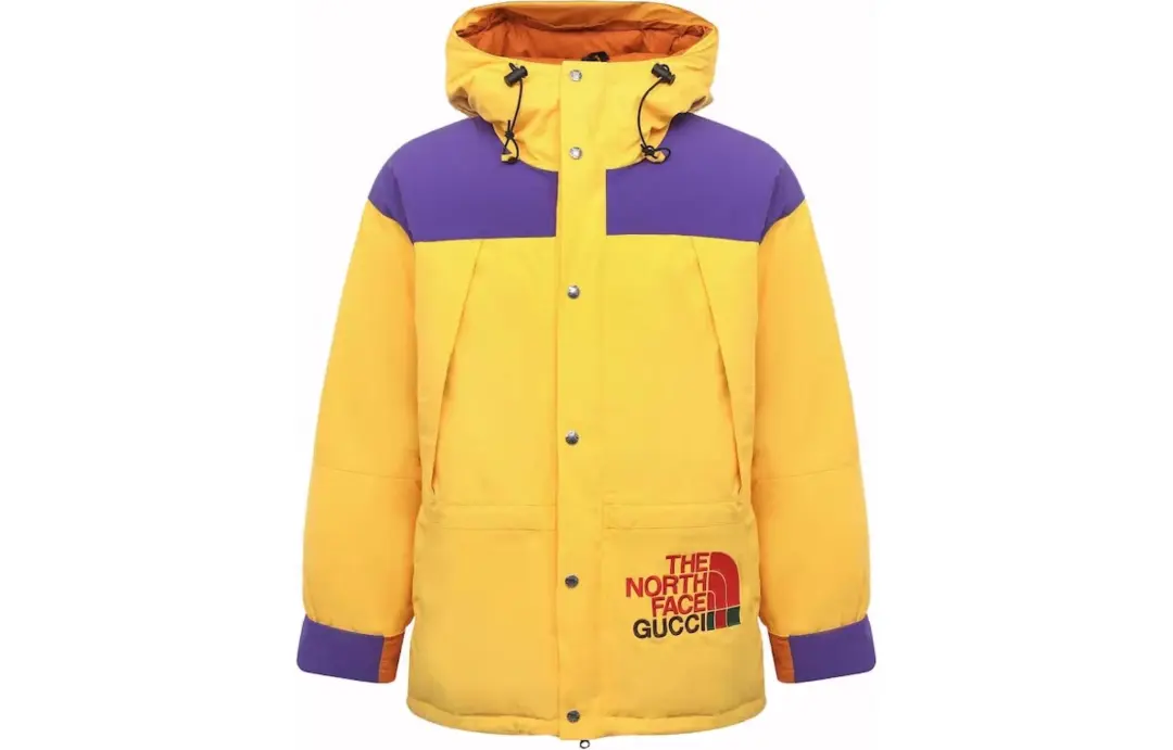 GUCCI X The North Face Down Jacket