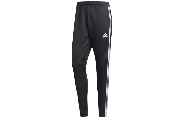 Adidas Tiro 19 Training Pants
