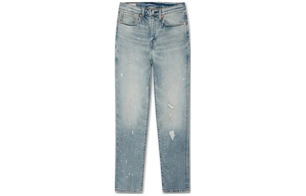 Levi's Jeans Men's Blue Moderate Straight Fit Pants