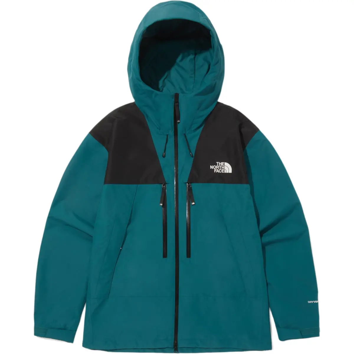 THE NORTH FACE Jackets & Coats Men's Blue