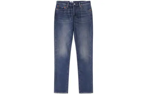 Levis Jeans Men's Blue Moderate Straight Fit Pants