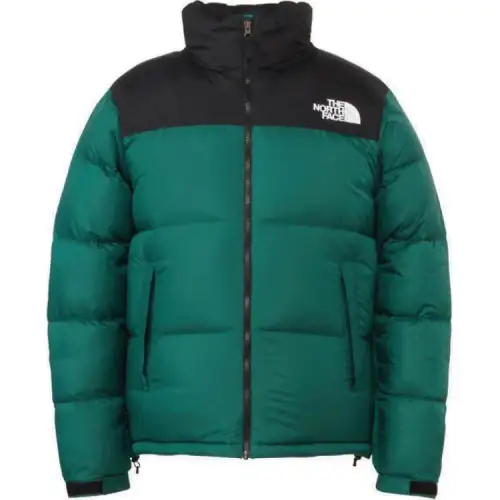 THE NORTH FACE 1996 Retro Nuptse Down Jacket