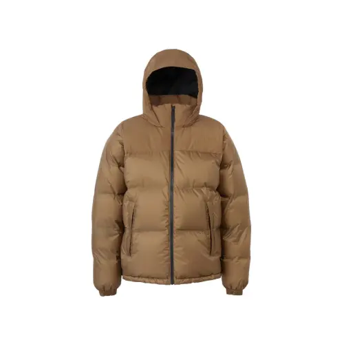THE NORTH FACE Nuptse FW24 GTX Down Jacket Men's Brown