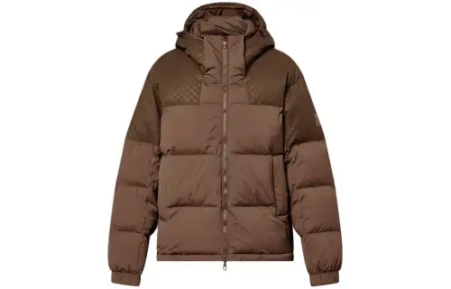 LOUIS VUITTON Puffer Jacket Men's Brown