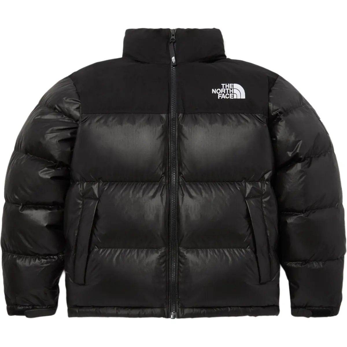 THE NORTH FACE Nuptse Down Jackets & Coats Men's Black