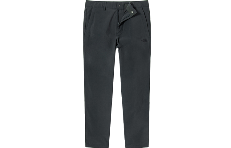 Мужские штаны The North Face 1792101 (серые)
