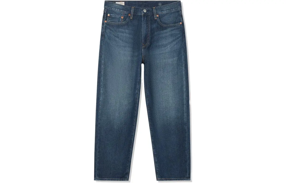 Levi's Jeans Men's Blue Moderate Straight Fit Pants