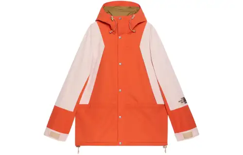 GUCCI X The North Face Jacket