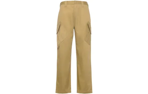 Dickies Cargo Pants Men's Brown Moderate