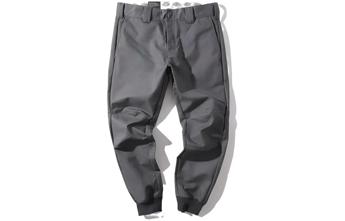 Dickies Cargo Pants Men's Moderate