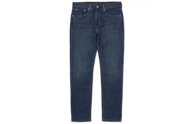Levi's Jeans Men's Blue Moderate Straight Fit Pants