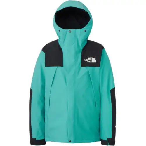 THE NORTH FACE Jackets & Coats Men's Blue Green