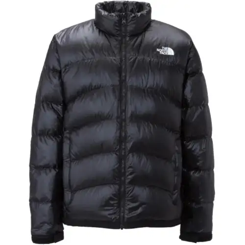 THE NORTH FACE FW24 Down Jacket Unisex Black
