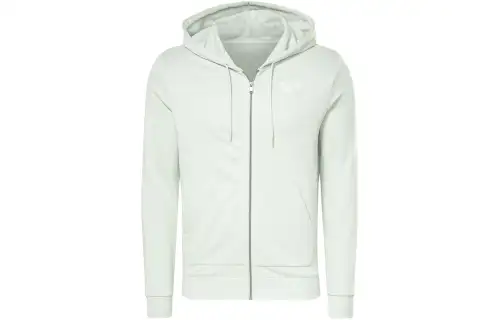 Reebok RI FT FZ HOODIE Jackets & Coats Men's Sage Green
