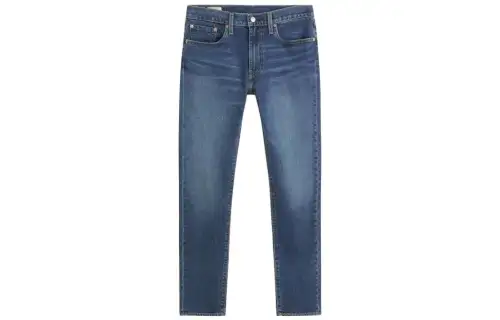 Levis Jeans Men's Blue Moderate Slim Fit Pants