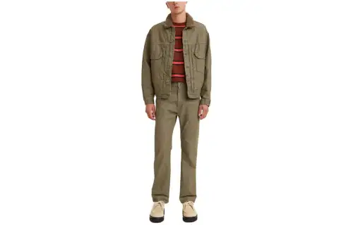 Levis Jeans Men's Gray Brown Moderate Straight Fit Pants