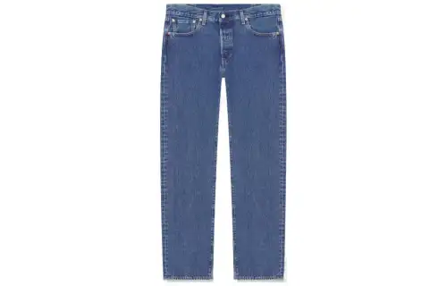 Levis Jeans Men's Blue Moderate Straight Fit Pants