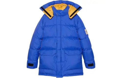 GUCCI The North Face X Gucci Down Jacket Men's Blue