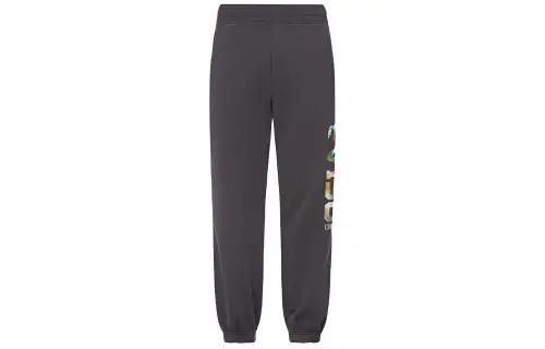 EVISU Sweatpants Men's Dark Gray