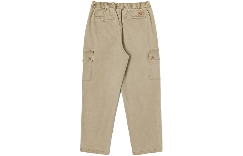 Dickies Cargo Pants Men's Moderate