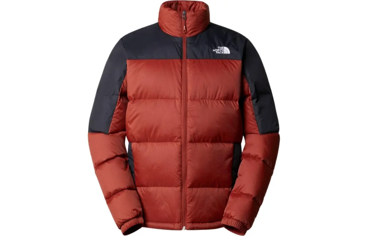 THE NORTH FACE Down Jackets & Coats Men's Multicolor