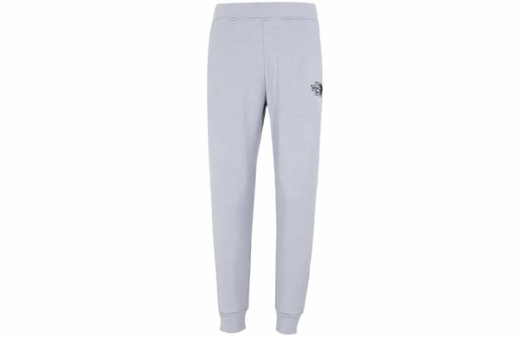 Мужские штаны The North Face Брюки с начесом (серые)
