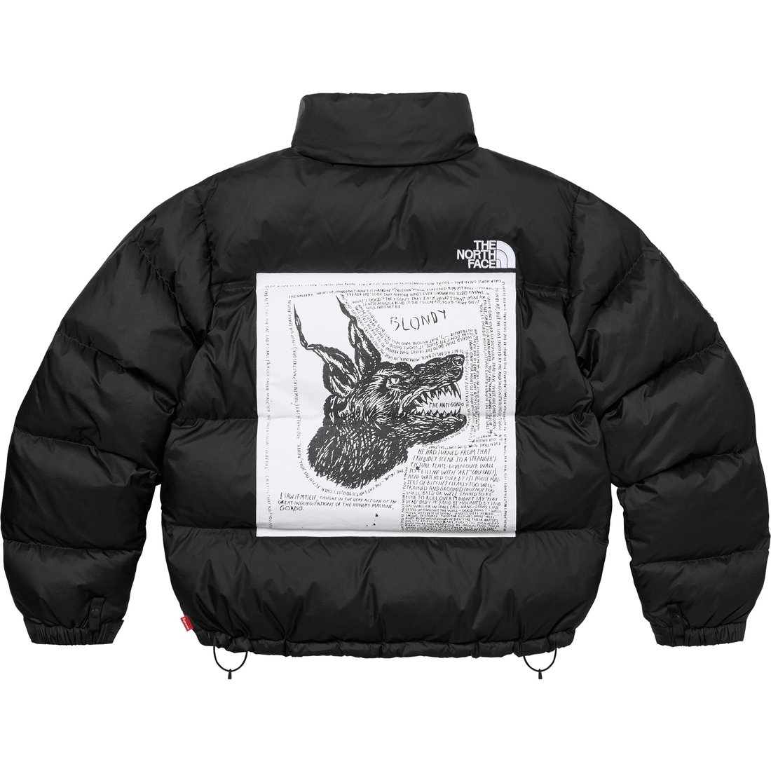 Supreme x The North Face SUP-FW24-152 — купить одежду известных