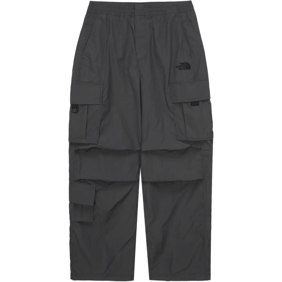 THE NORTH FACE Sheldon Cargo Pants Cargo Pants Men's Dark Gray