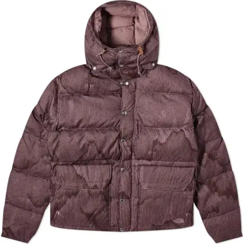 THE NORTH FACE Down Jackets & Coats Men's Red