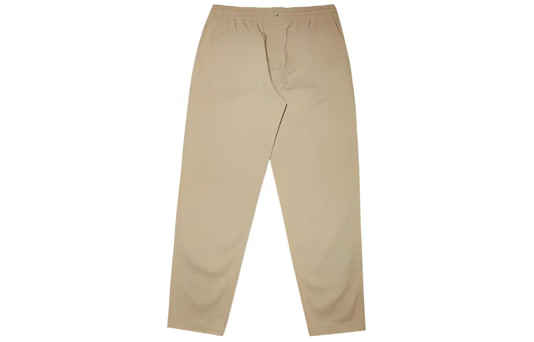 Dickies Casual Pants Men's Sand