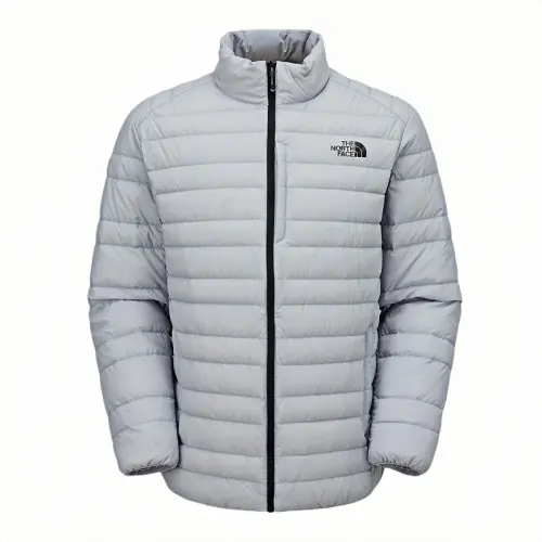 THE NORTH FACE Down Jacket Men's Silver