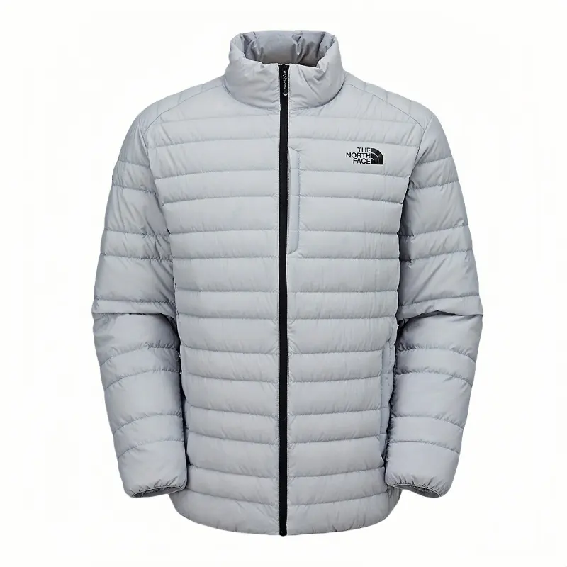 THE NORTH FACE Down Jacket Men's Silver