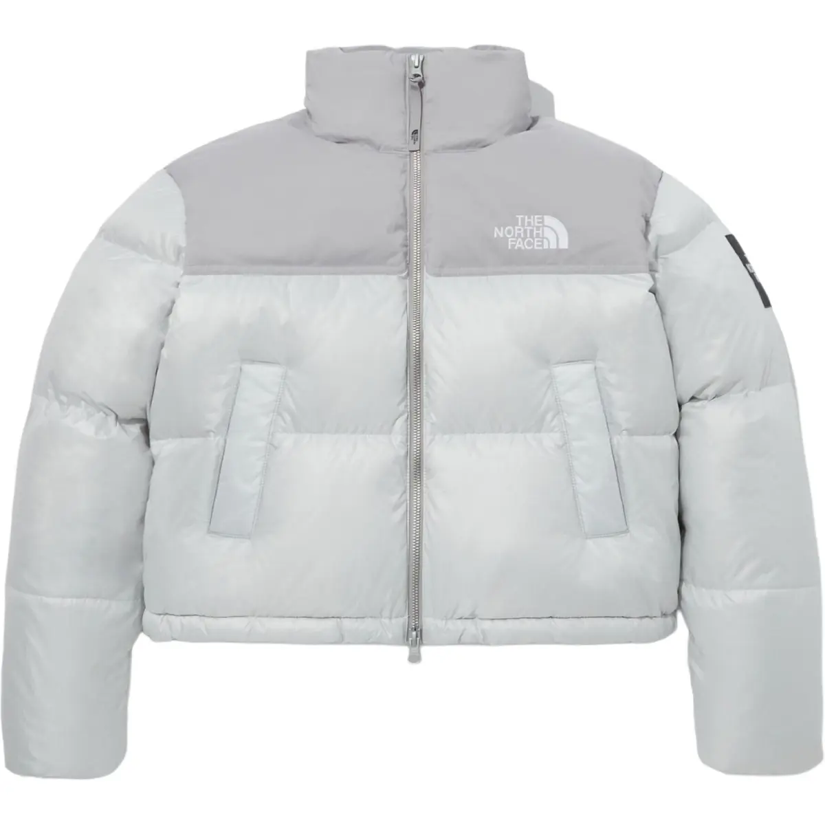 THE NORTH FACE W'S Novelty Nuptse Rds Down Jacket Gray Korea Version