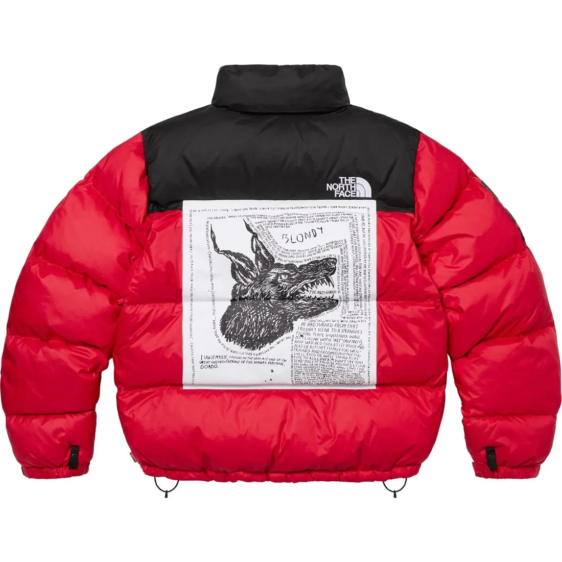 Supreme x The North Face Nuptse jacket