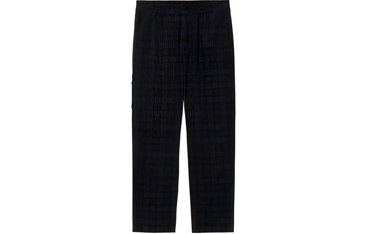 Carhartt WIP Casual Pants Men's Dark Blue Moderate Straight Fit Pants