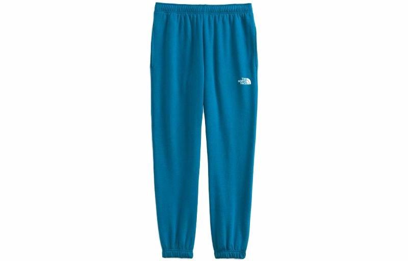 Мужские брюки The North Face Joggers (синие)