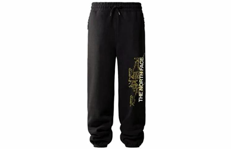 Мужские штаны The North Face (черные)