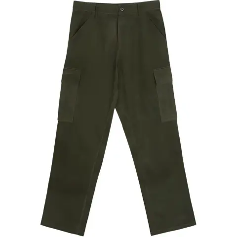 COACH SS24 Cargo Pants Men's Green