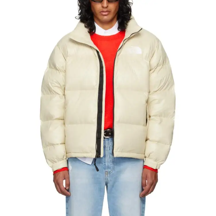 THE NORTH FACE Nuptse FW24 Down Jacket Men's Beige
