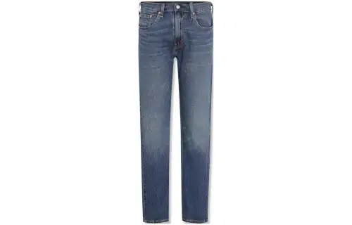 Levis Jeans Men's Dark Blue Moderate Straight Fit Pants
