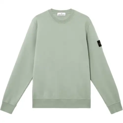 STONE ISLAND SS25 Sweatshirts Men's Sage Green Crew Neck Moderate Regular