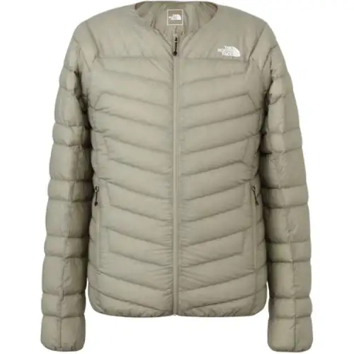 THE NORTH FACE FW24 Down Jacket Men's Clay Gray