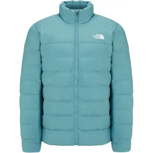 THE NORTH FACE Down Jacket Men's Blue
