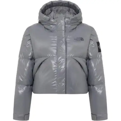THE NORTH FACE THE NORTH FACE Apparel Collection Down Jacket Unisex Gray