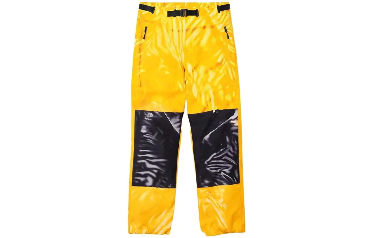 Supreme The North Face Printed Mountain Pant