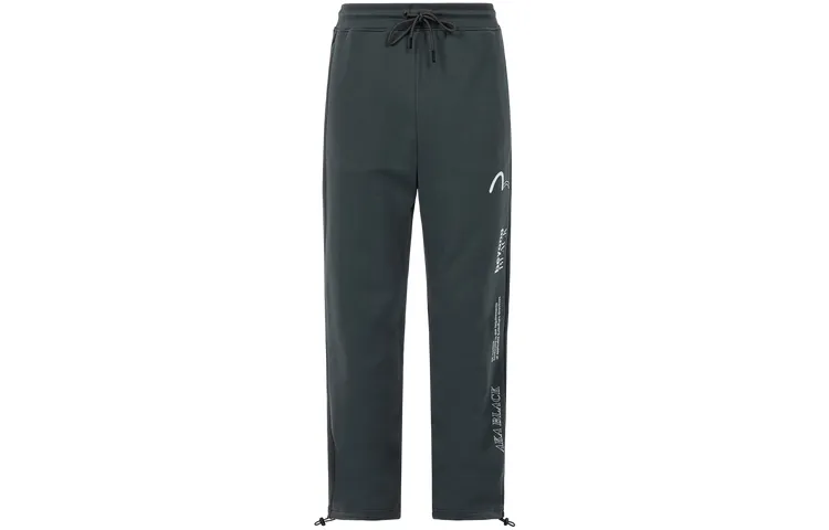EVISU Casual Pants Men's Dark Gray