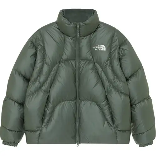 THE NORTH FACE Down Jacket Men's Green